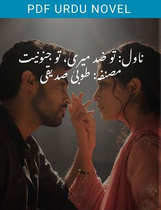 tu zid meri tu junooniyat novel