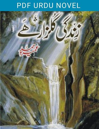zindagi gulzar hai novel